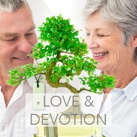 Bonsai meaning Love & devotion
