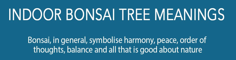 Bonsai Meanings header