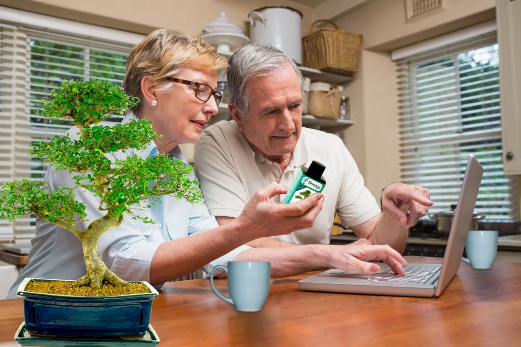 Bonsai Tree Care & Advice