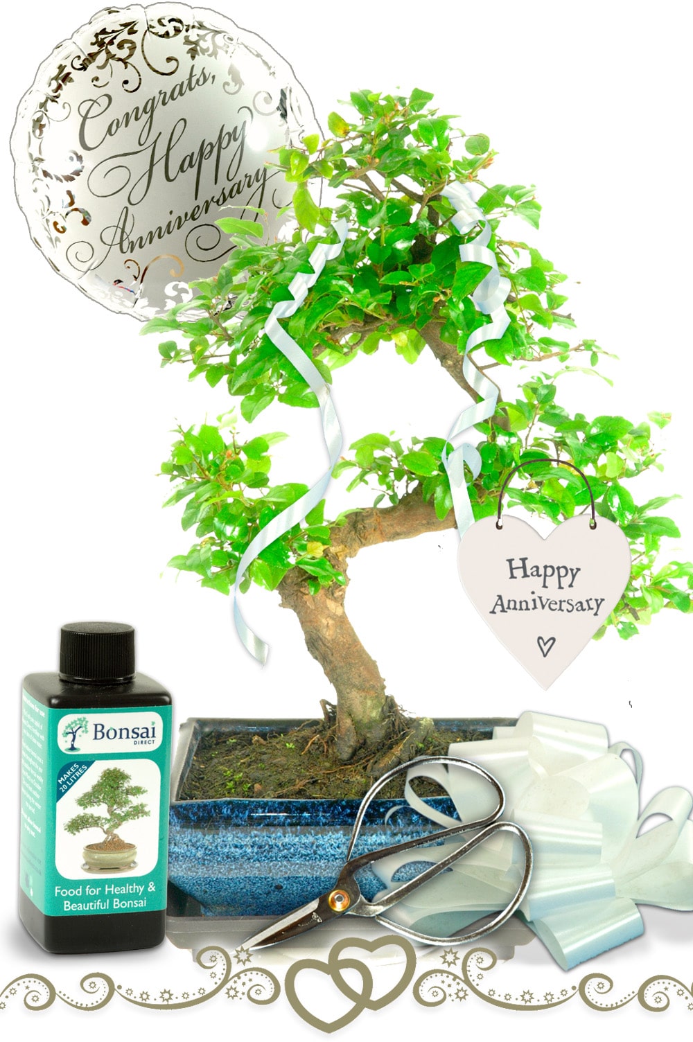 swat plum fruiting bonsai anniversary gift set