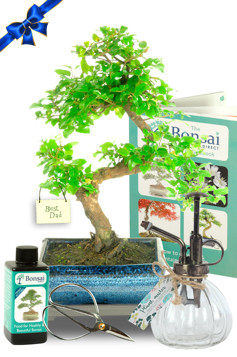 Exceptional Fathers Day Bonsai tree gift | Unique & eco-friendly