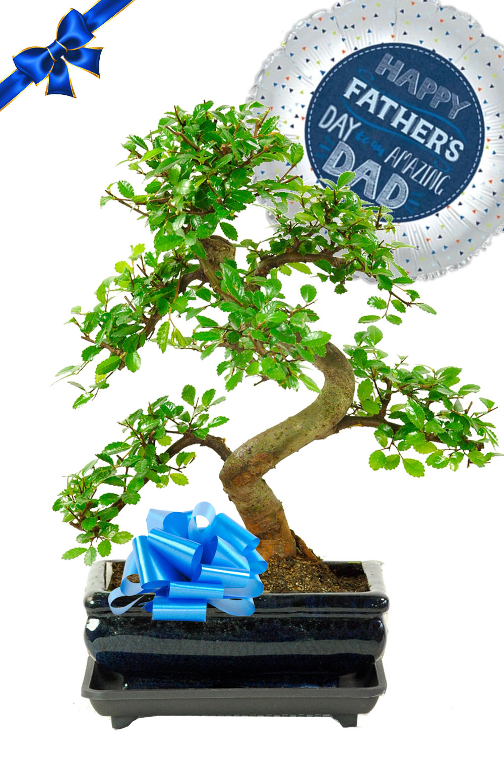 Happy Fathers' day to my Amazing Dad