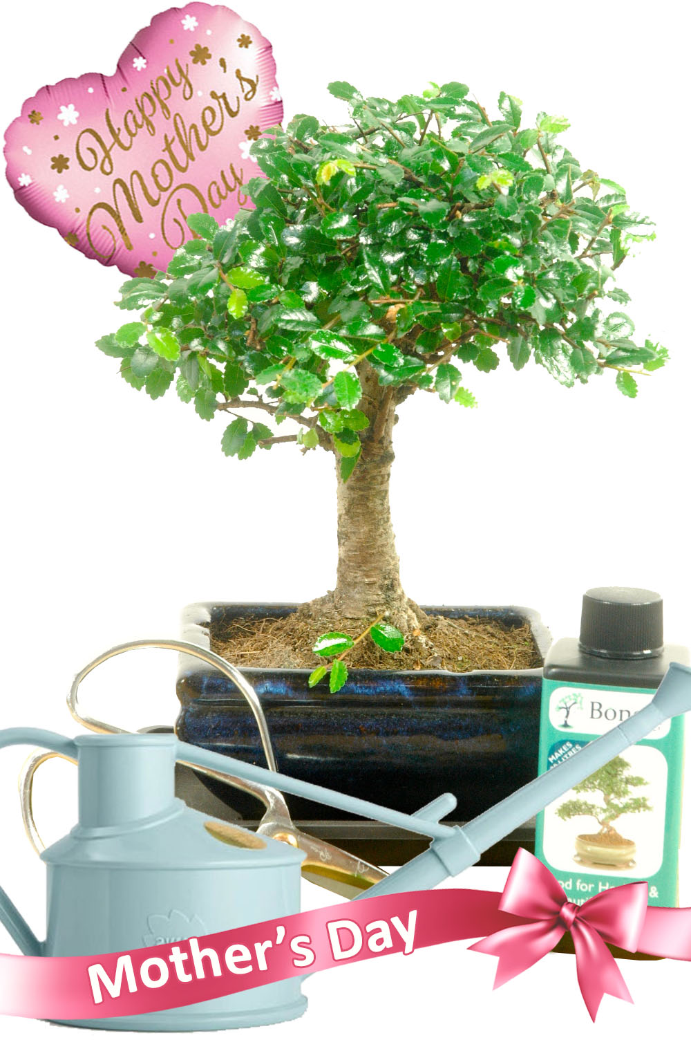 Cute woodland style Mothers day bonsai gift for sale with accessories