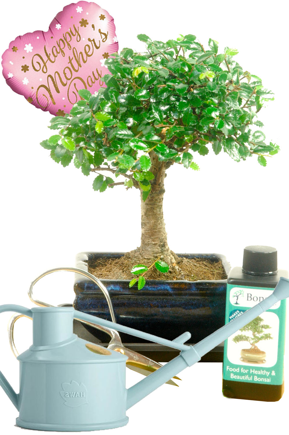 Cute woodland style Mothers day bonsai gift for sale with accessories