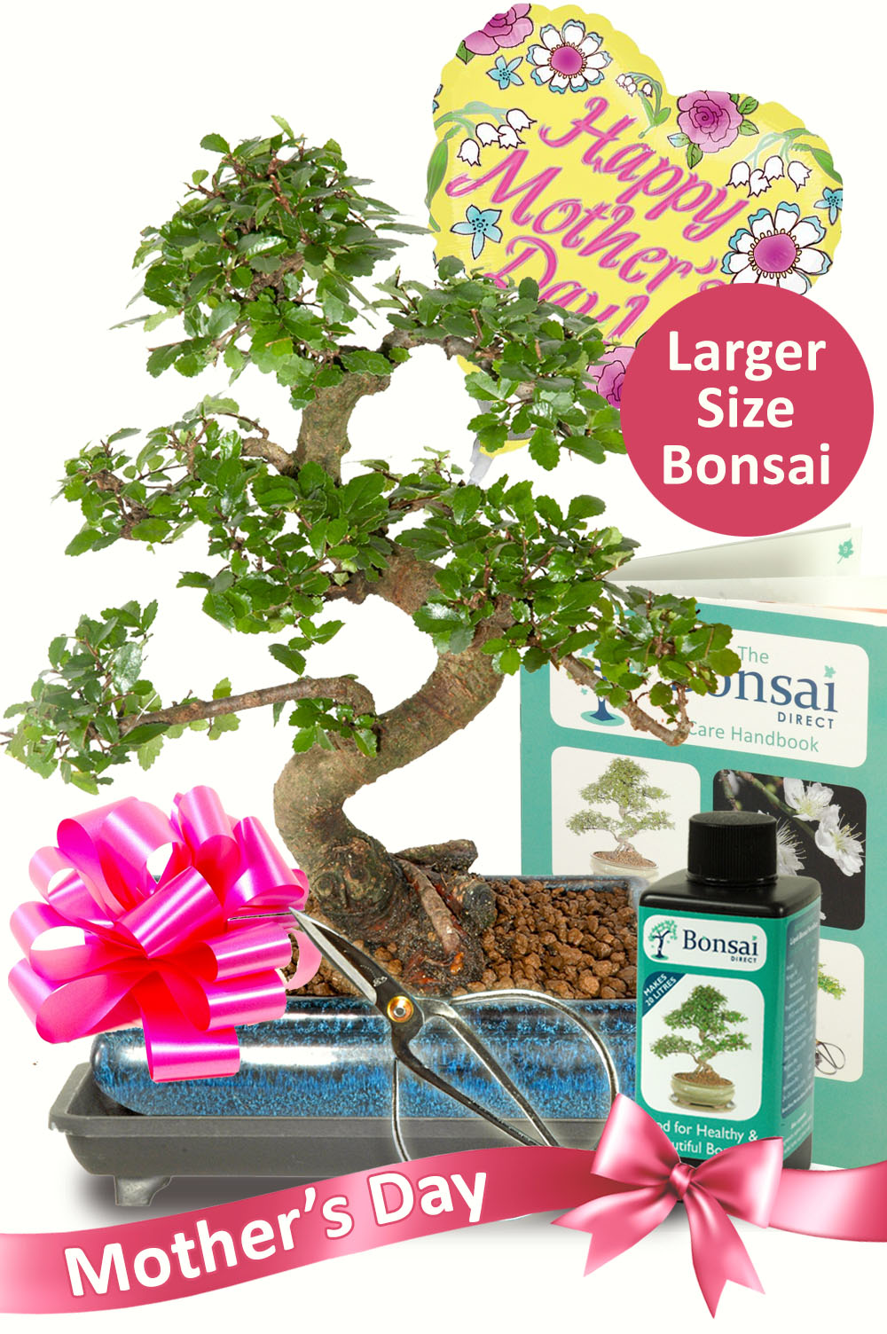 Larger Comprehensive Mothers Day Bonsai Kit