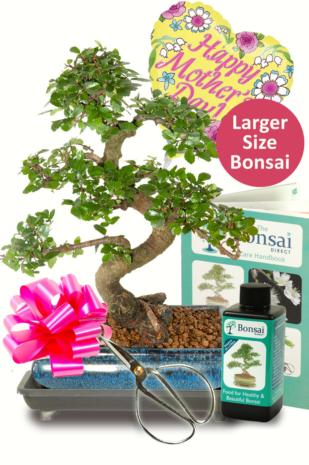 Larger Comprehensive Mothers Day Bonsai Kit