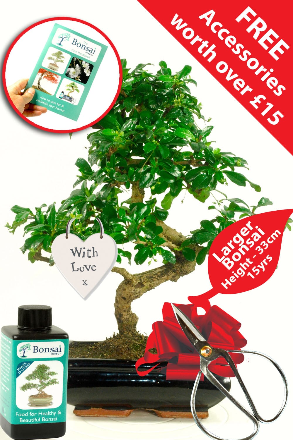 Romantic with love bonsai tree gift