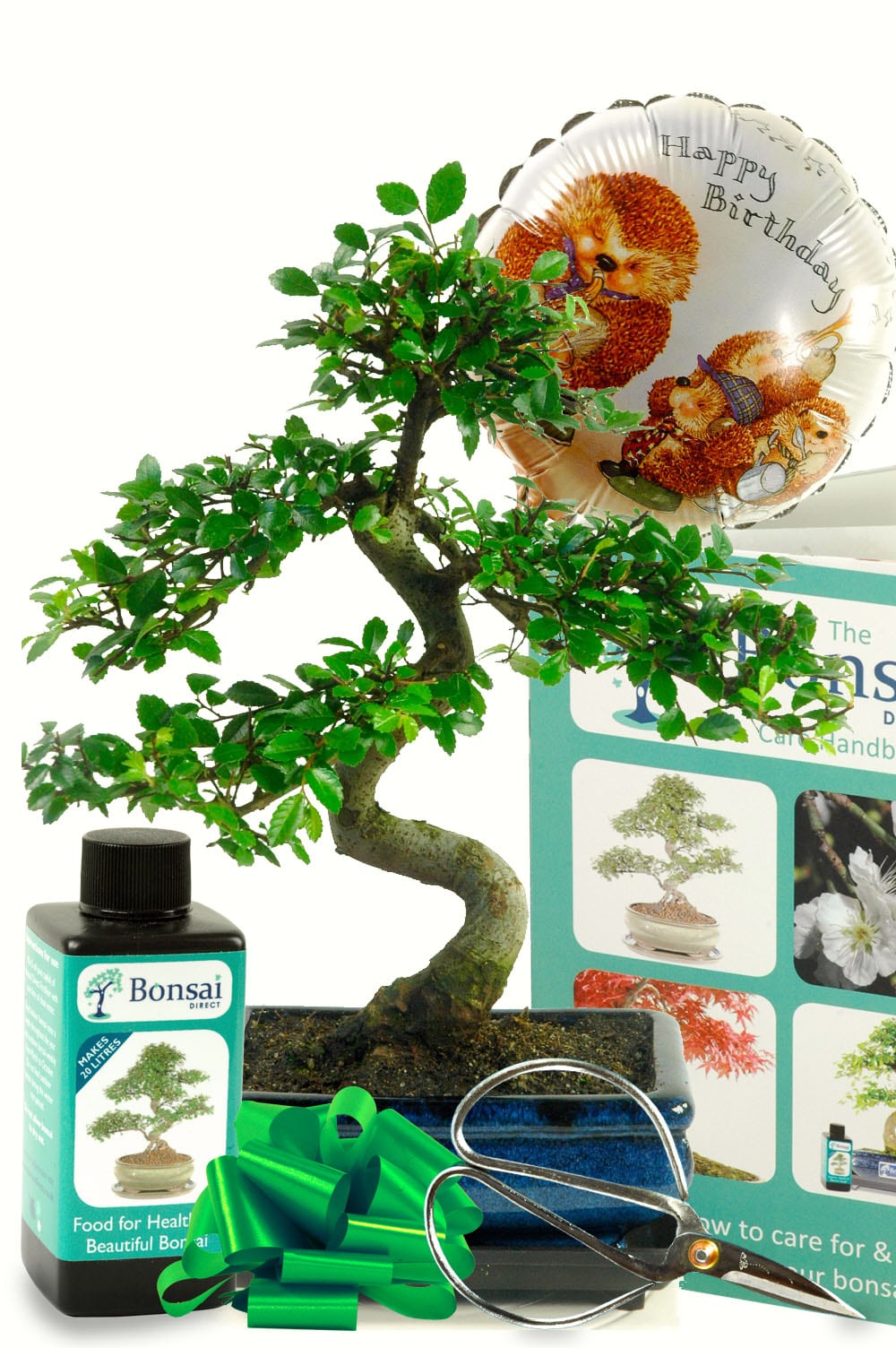 Woodland bonsai birthday gift