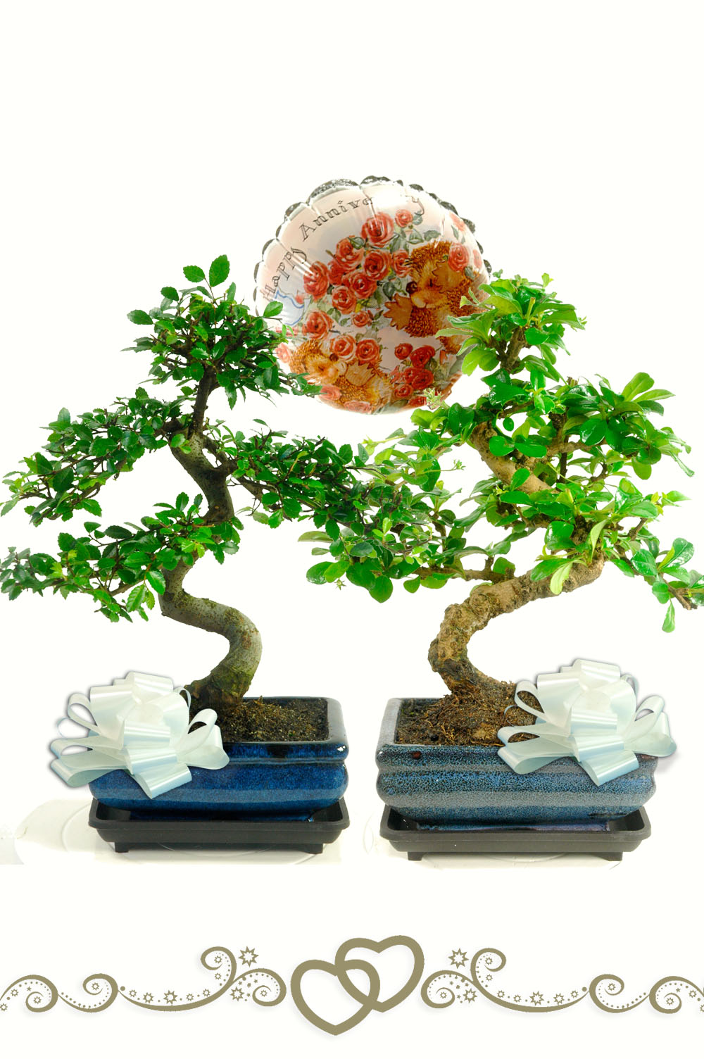 Perfect together - Happy Anniversary Bonsai gift