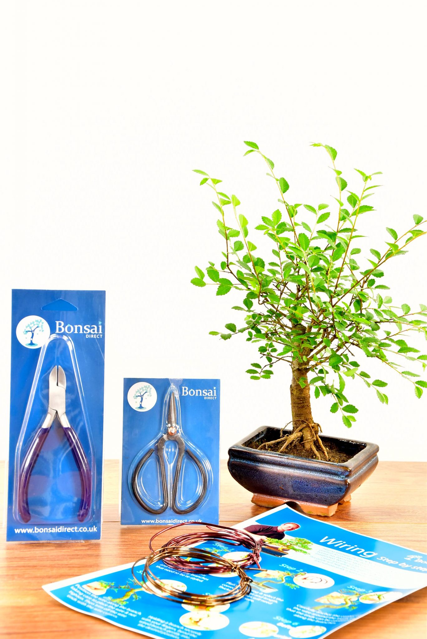 Baby Bonsai Kit - Pruning & Wiring