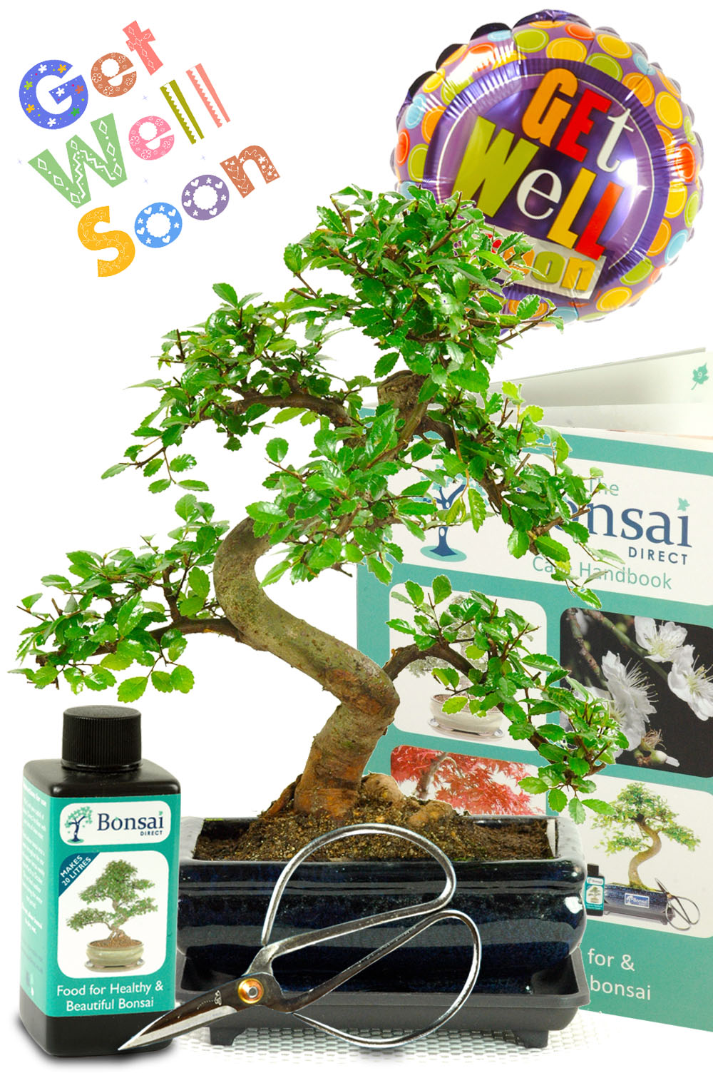 Comprehensive Get Well Soon Bonsai Gift