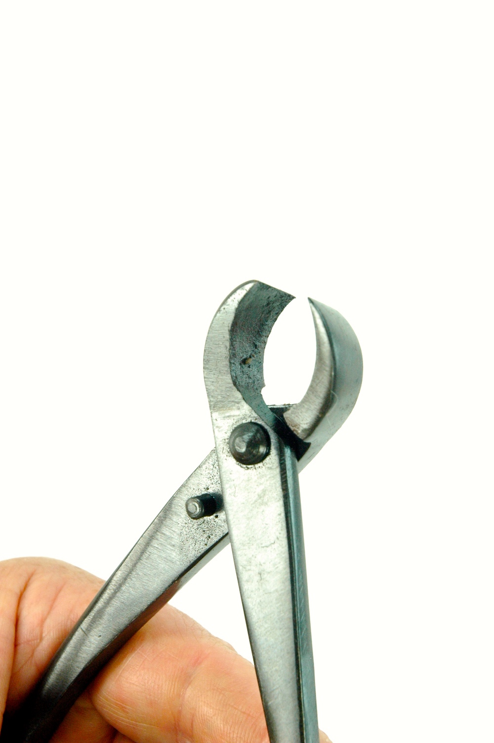 Concave Bonsai Branch Cutters 180mm