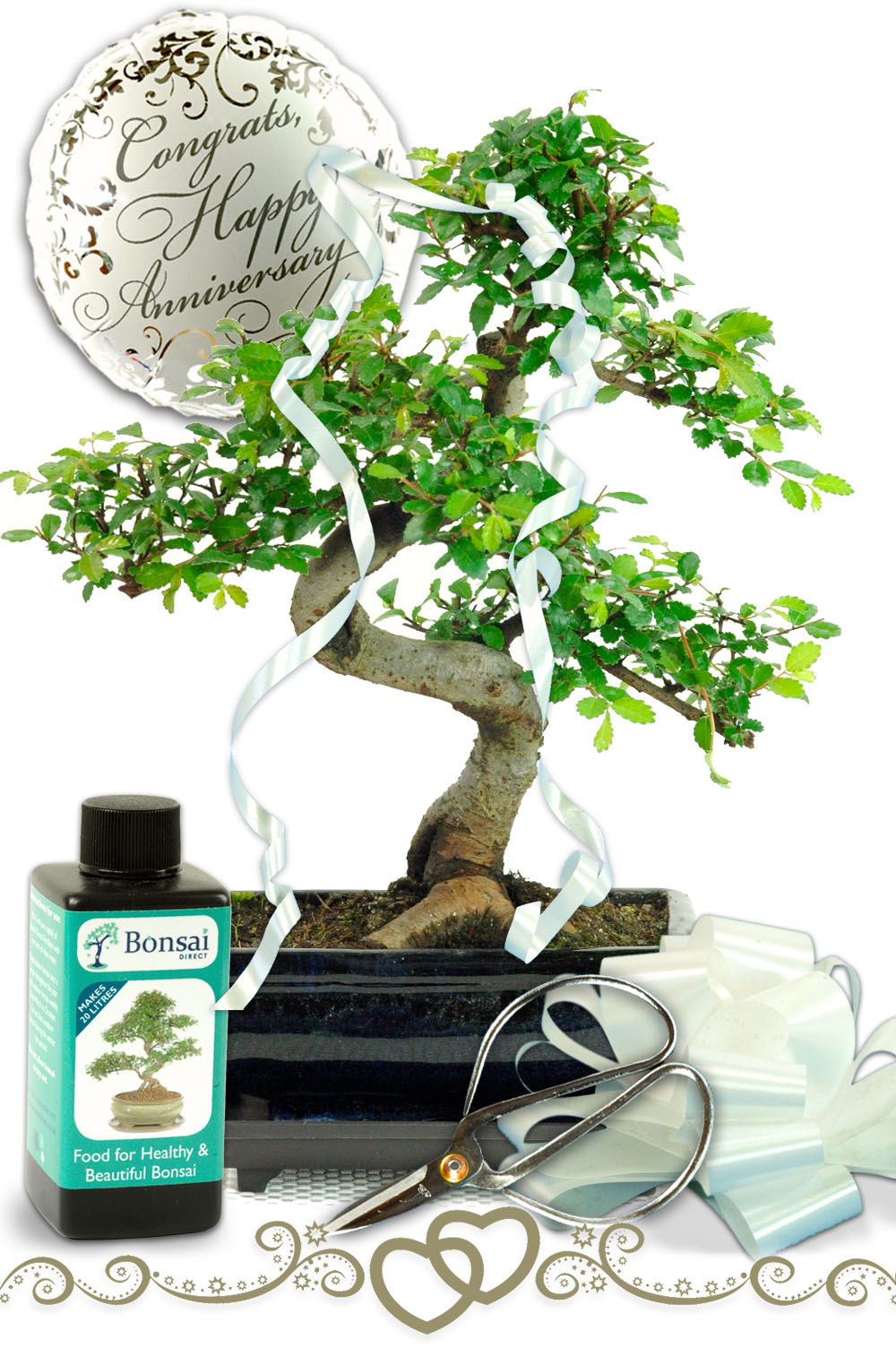 Contemporary Happy Wedding Anniversary Bonsai Gift