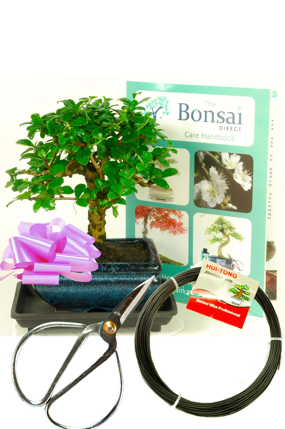 Flowering Baby Bonsai kit - Pruning & Wiring