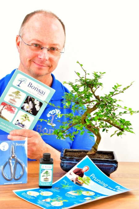 Medium Twisty Bonsai Kit - Pruning