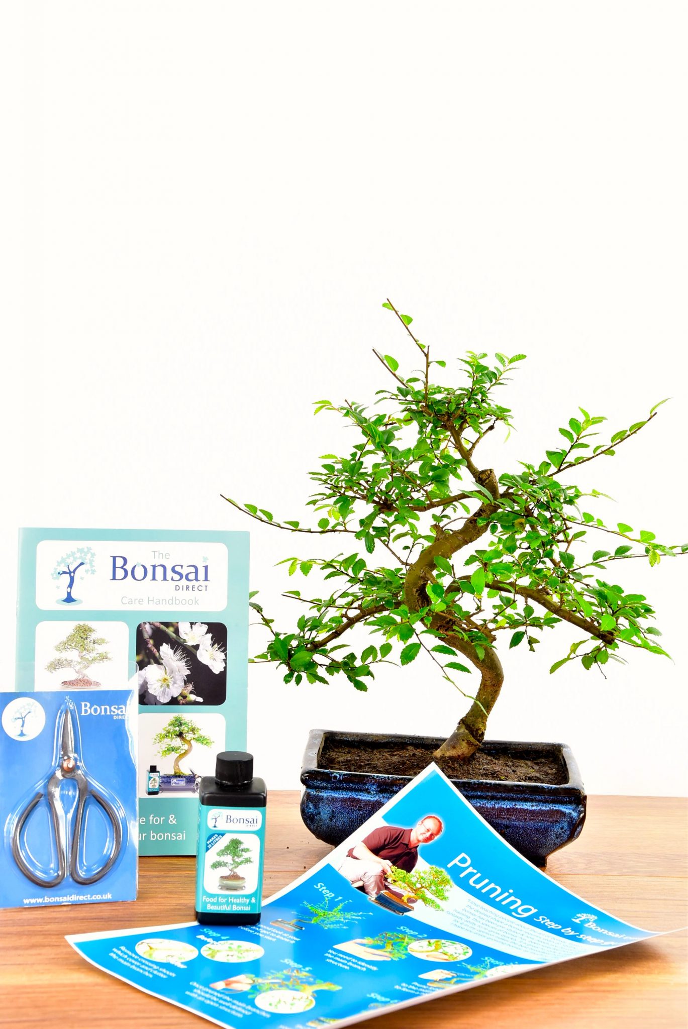 Medium Twisty Bonsai Kit - Pruning