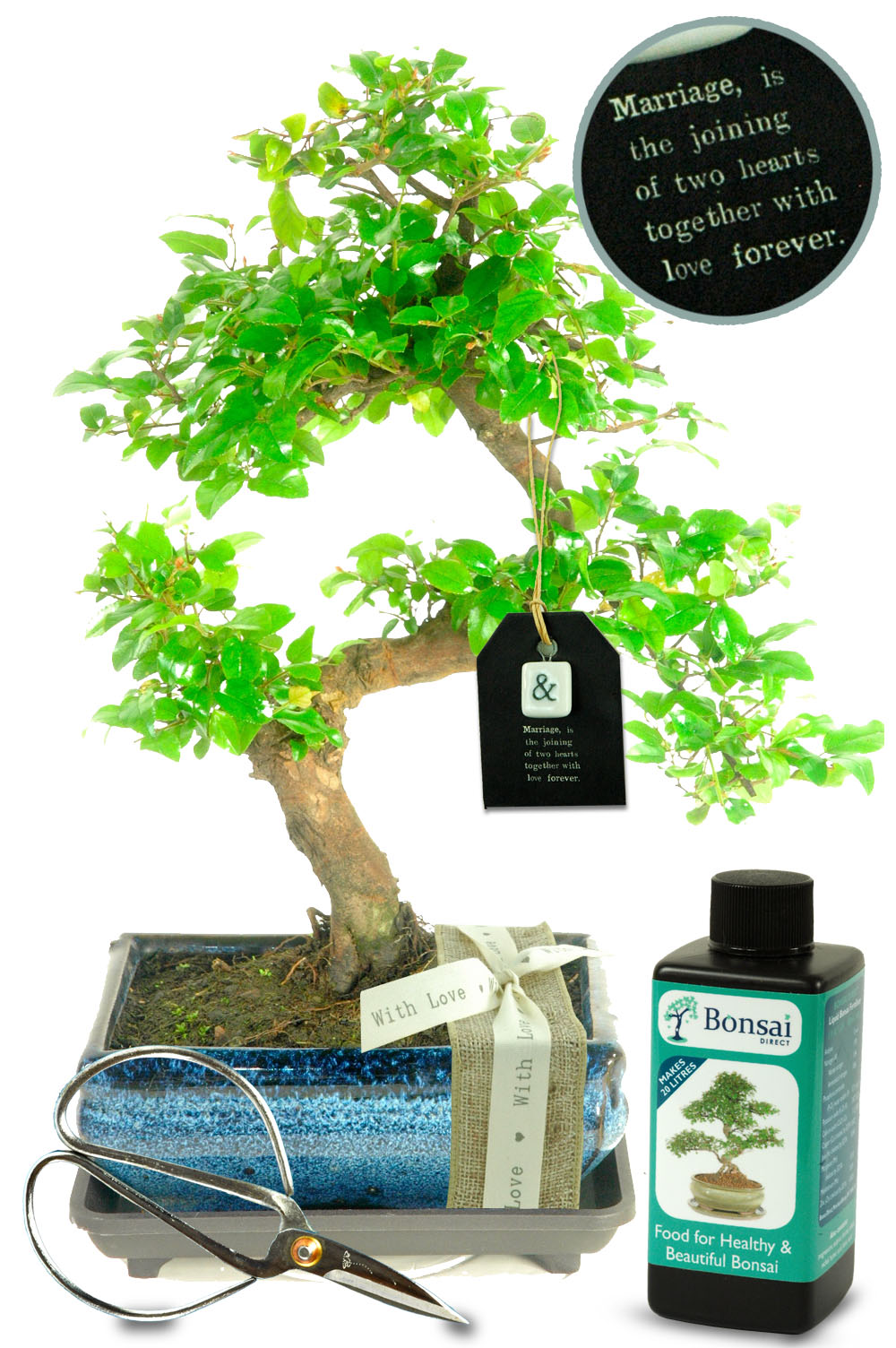 Natural Range Wedding Bonsai Gift