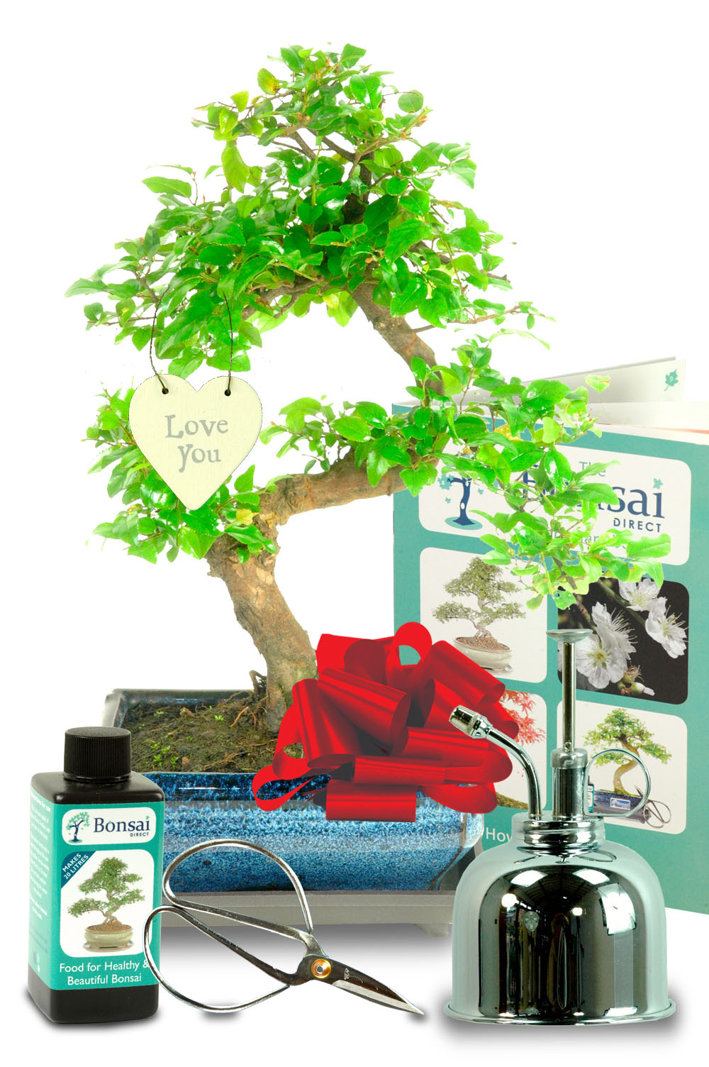 Outstanding Sweet Plum Romantic bonsai tree gift