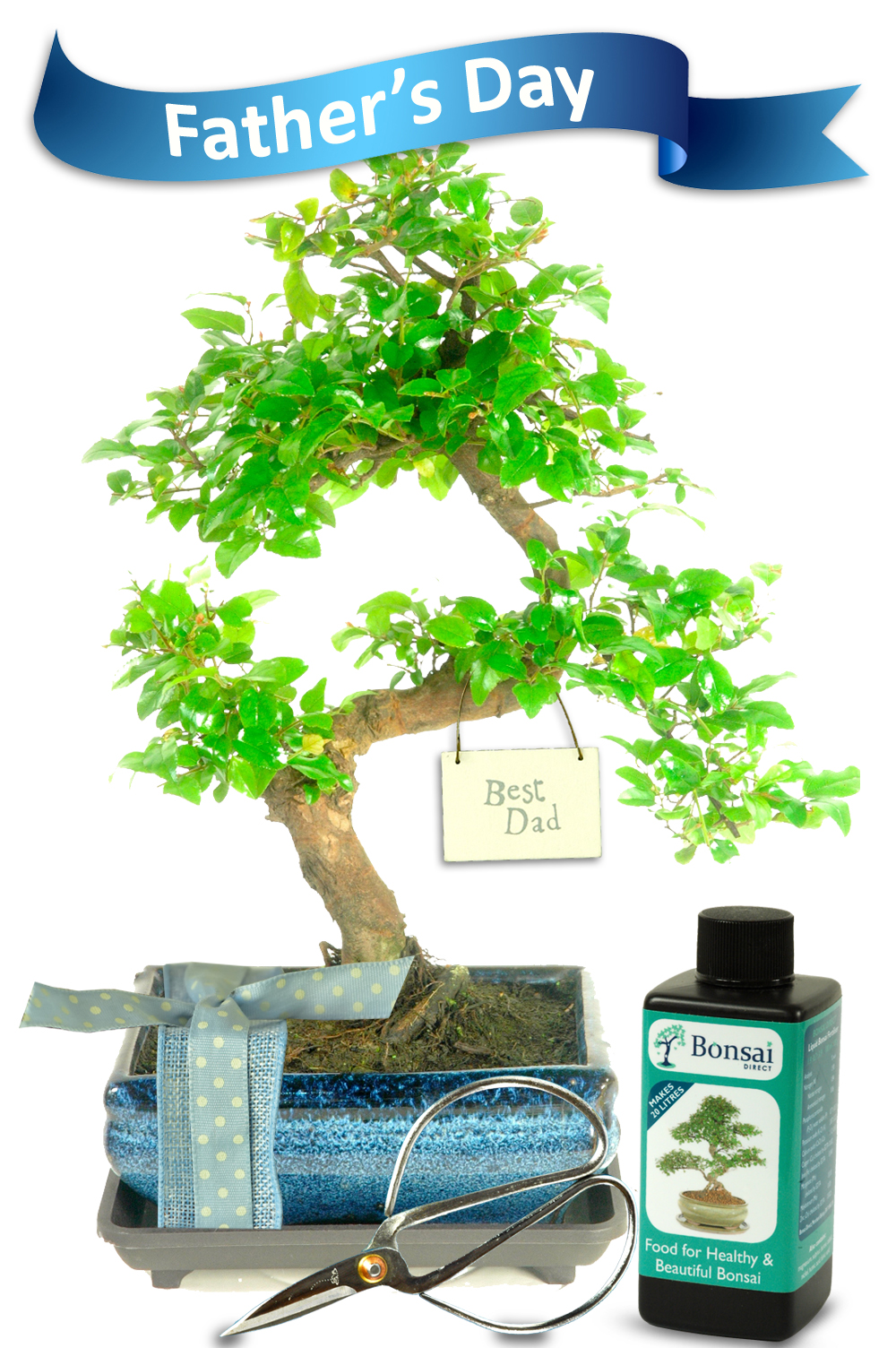 Shabby Chic Best Dad Bonsai Gift