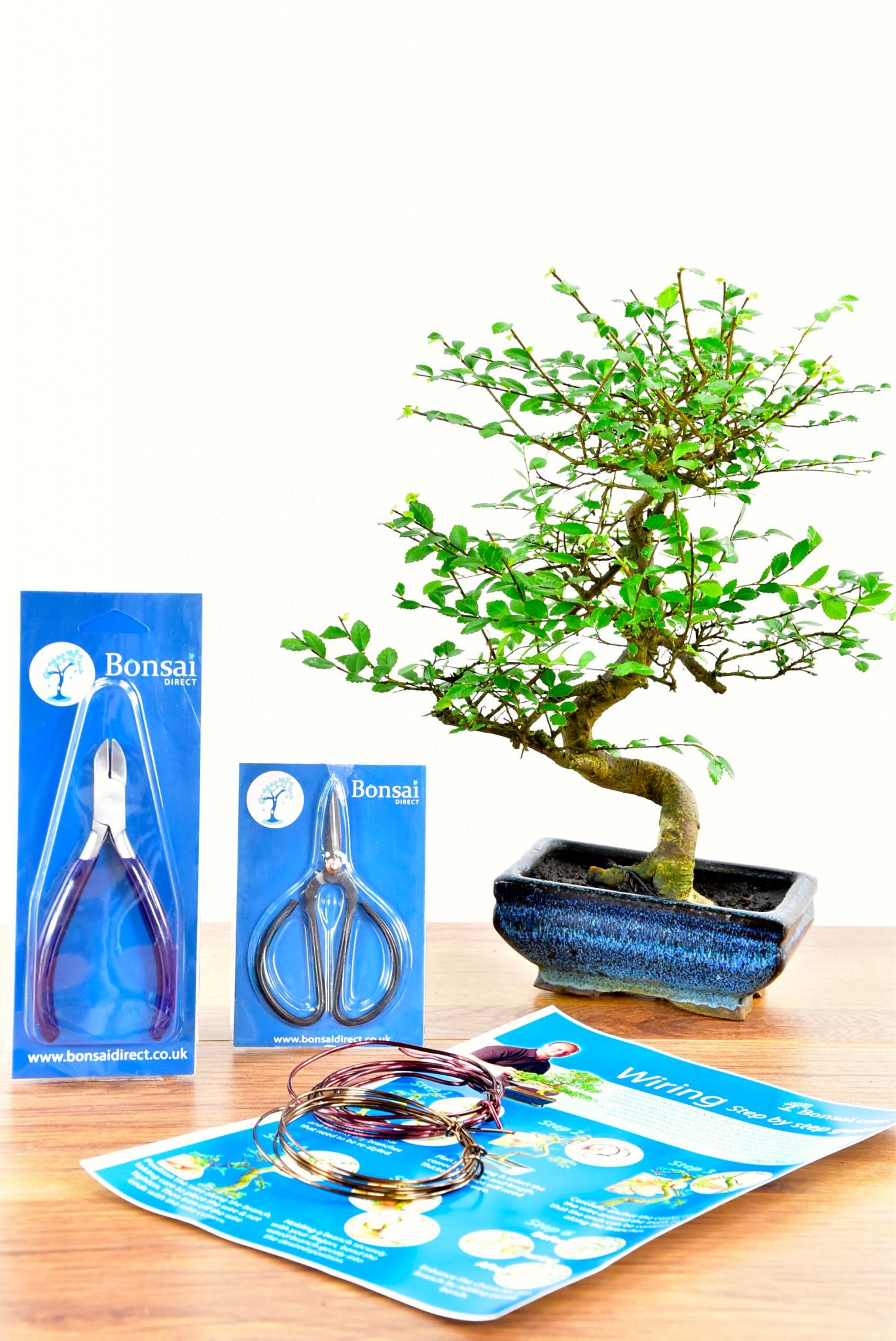 Standard Twisty Bonsai Kit - Pruning & Wiring