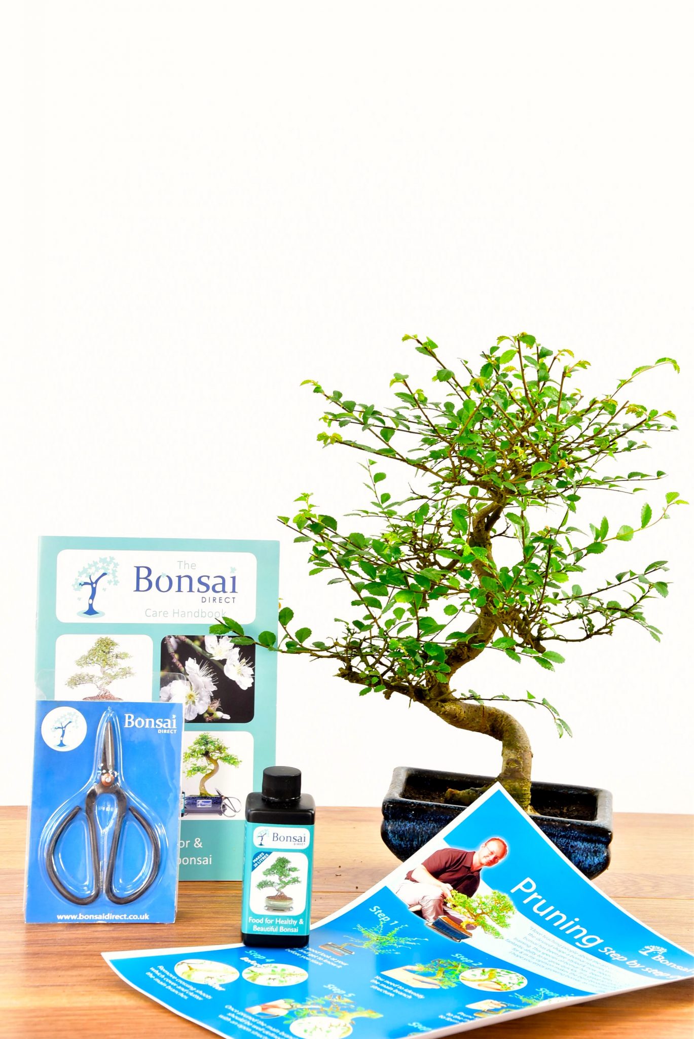 Standard Twisty Bonsai Kit - Pruning