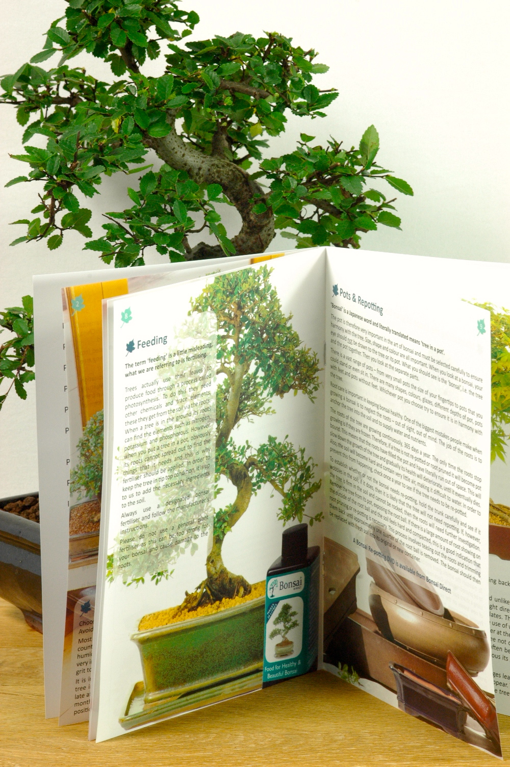The Bonsai Direct Care Handbook