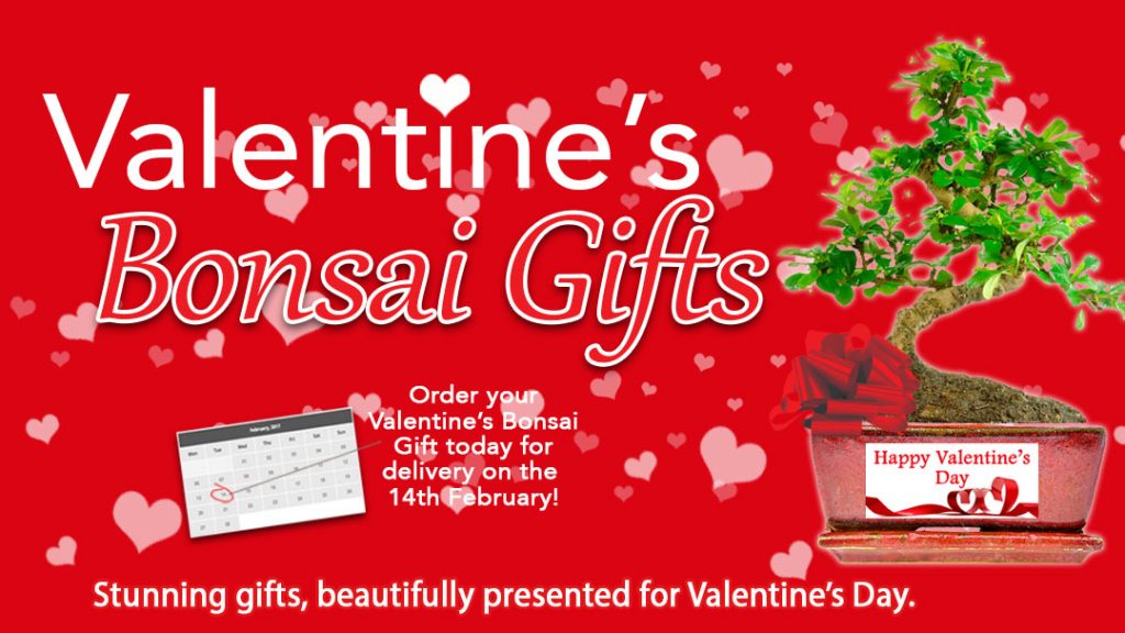 google-header-valentines