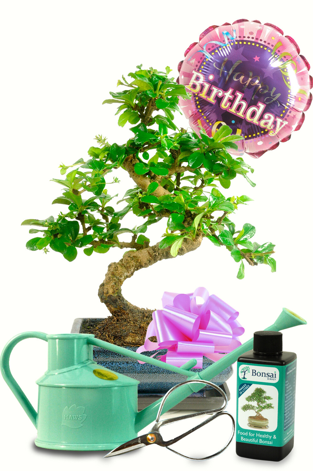 Beautiful Happy Birthday Gift Set - For Her with Watering Can