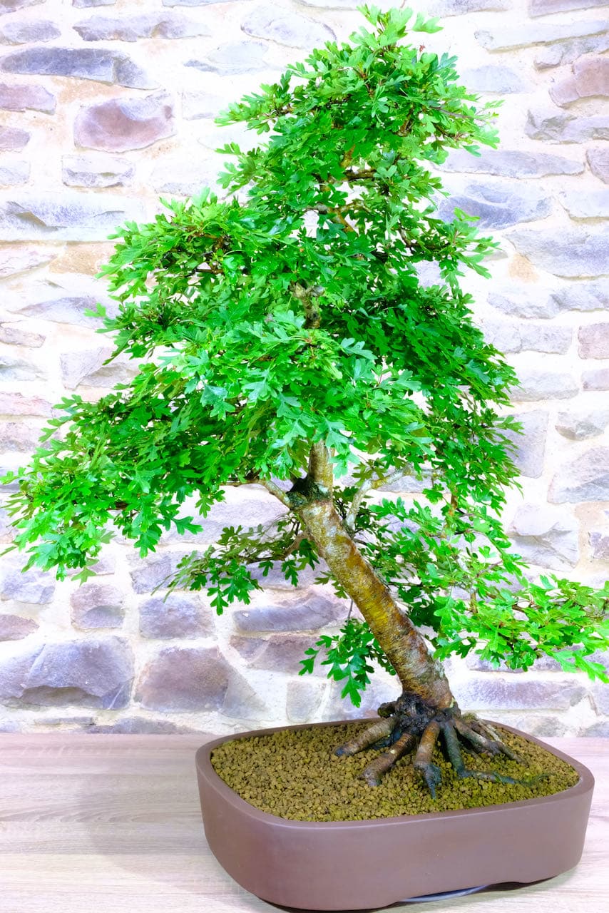 An extremely strong and powerful design