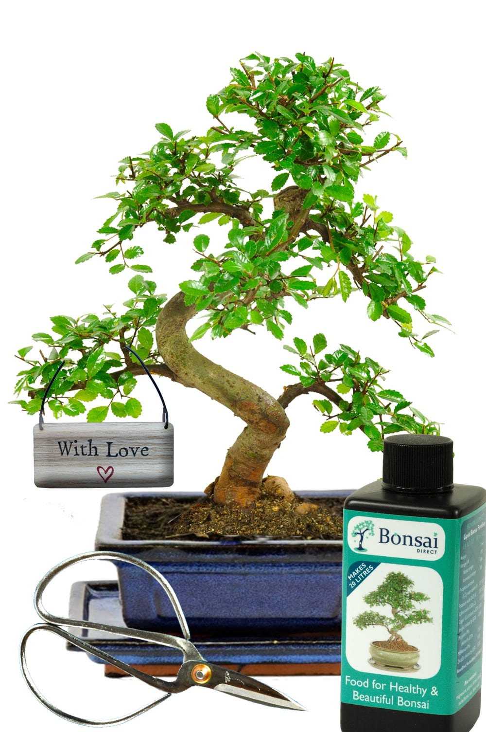 Perfect plant gift to send your love