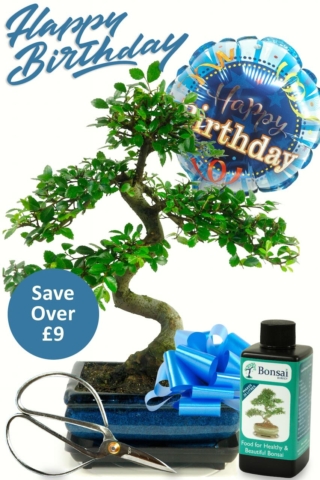 Perfect birthday Gift - For Him