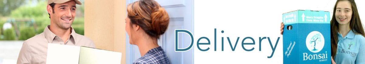 Bonsai Direct delivery