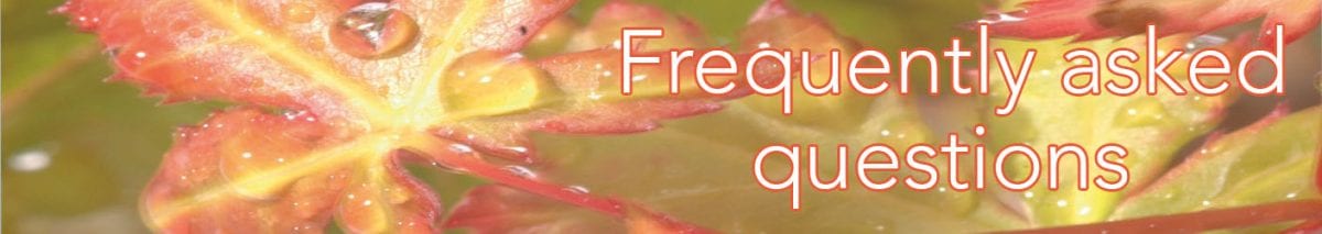 Frequently asked questions
