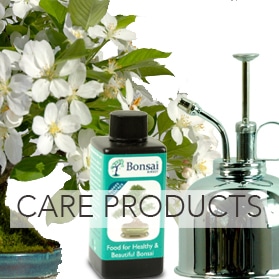 Care Products Bonsai care products for sale
