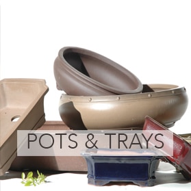 Pots and Trays Bonsai pots & trays for sale