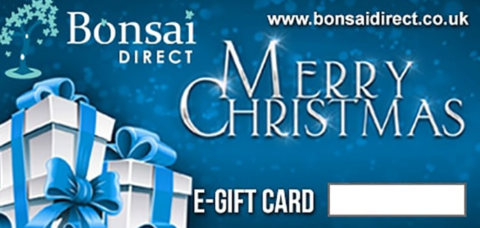 Merry Christmas - Bonsai Direct vouchers
