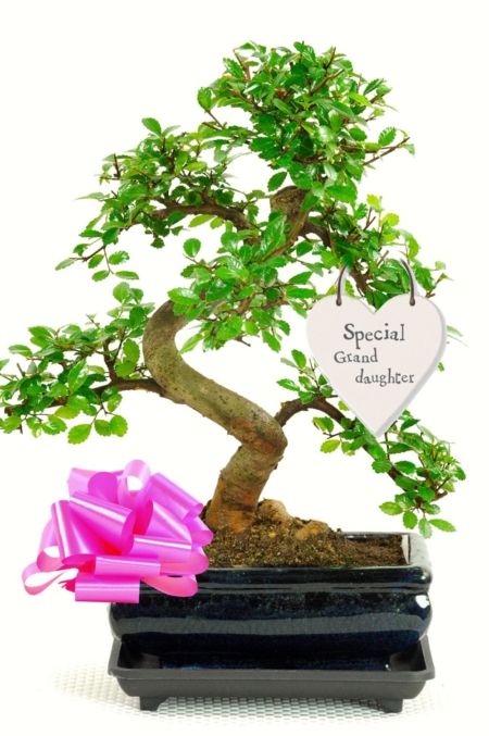 Lovely gift for your special granddaughter