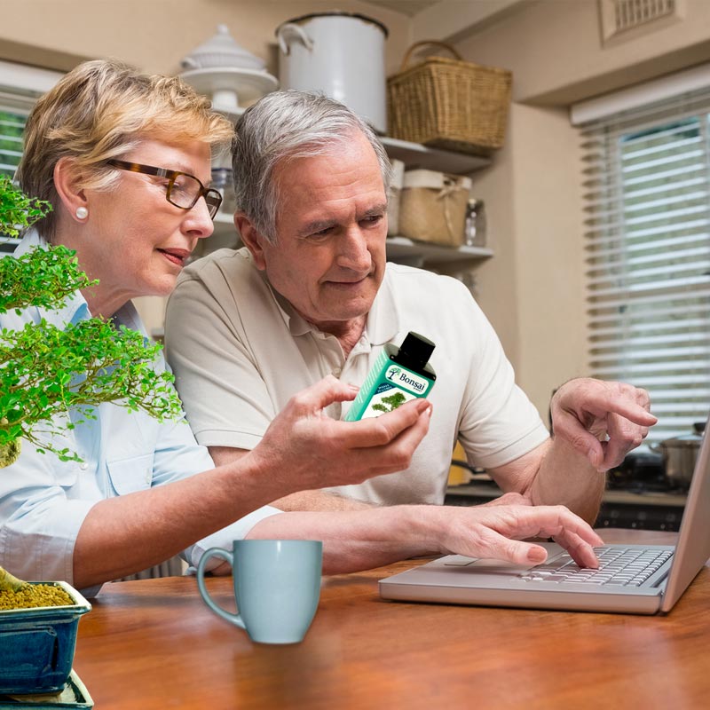 Caring for your bonsai tree