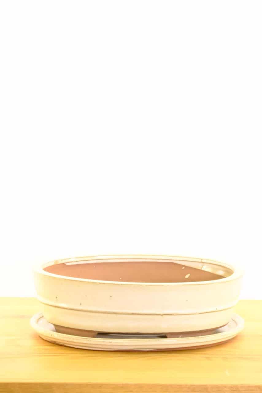 Excellent ceramic bonsai pot for sale UK