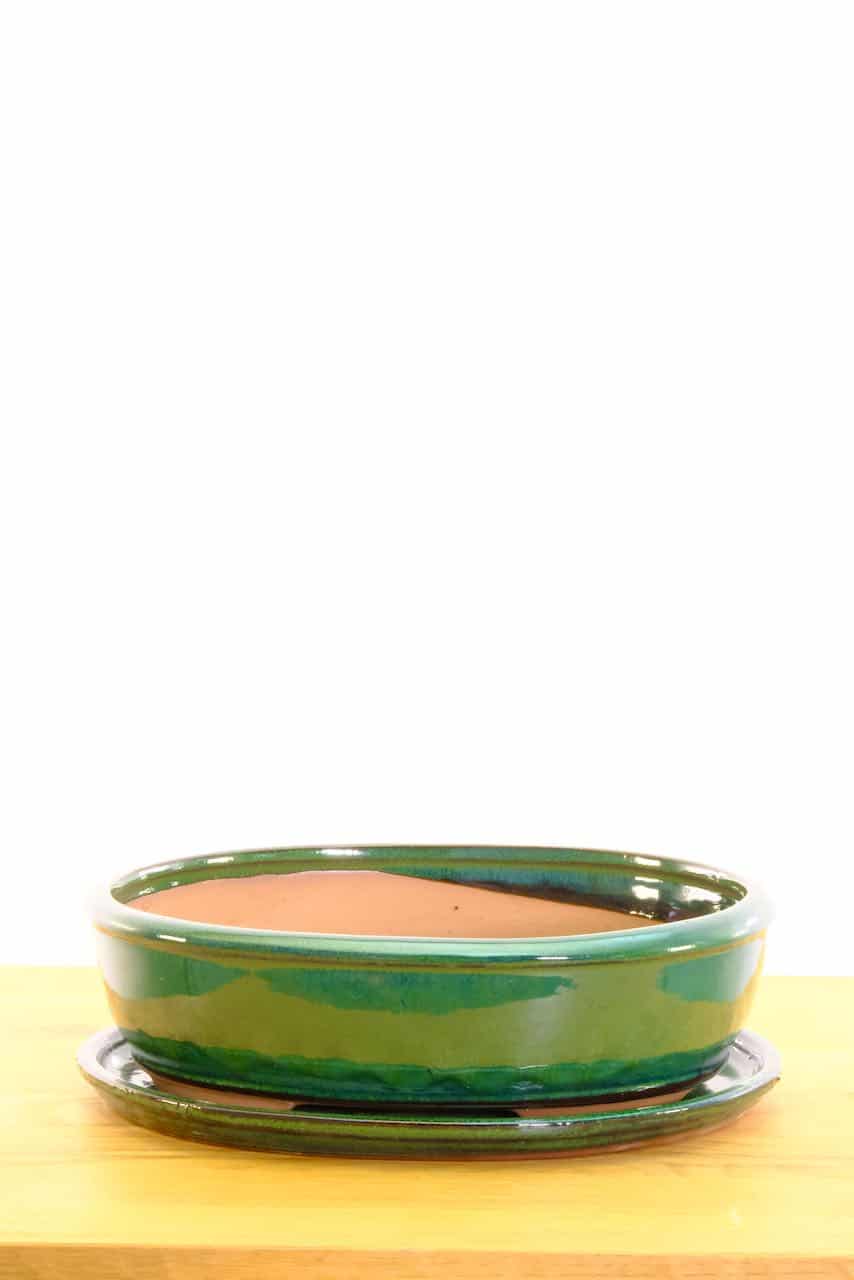 Ceramic bonsai pot for sale UK