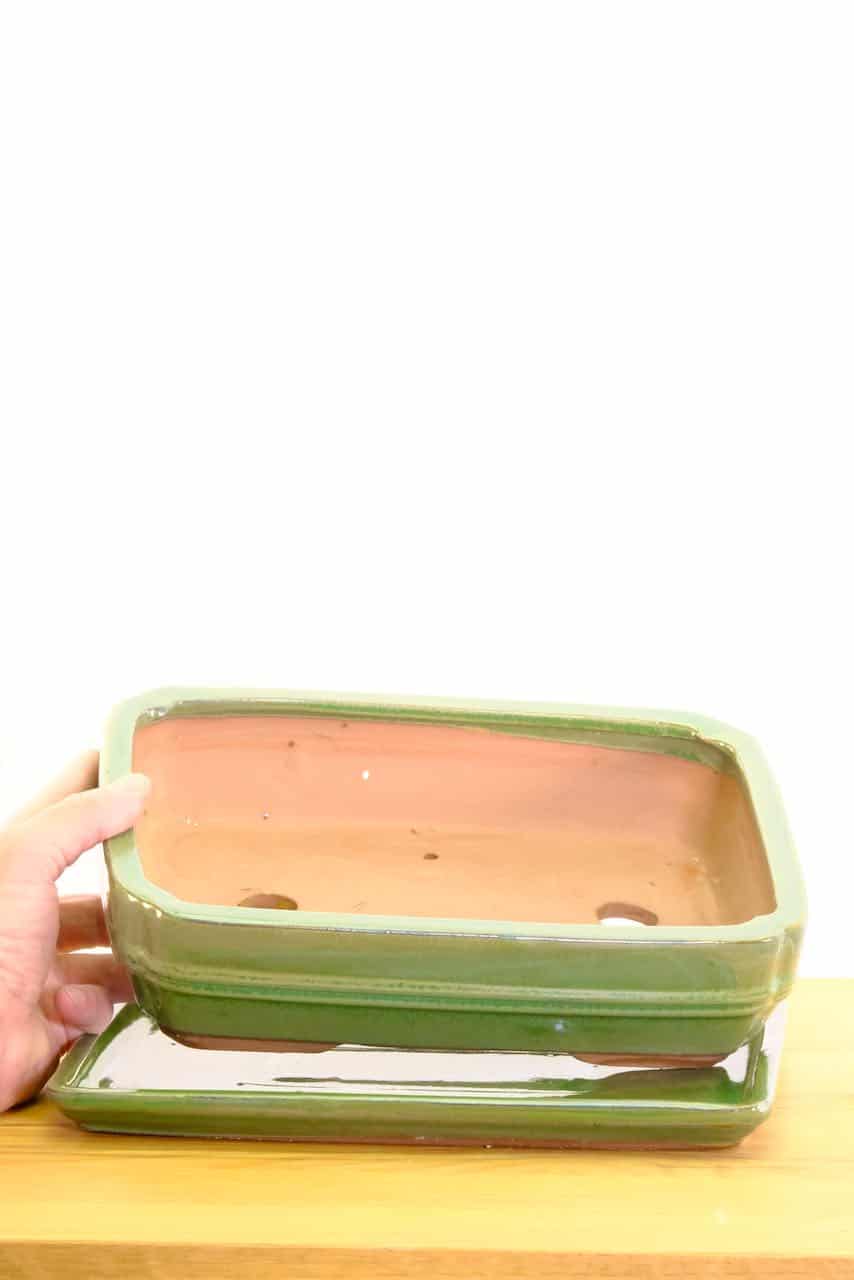 Comes with free repotting guide, soil, wire and mesh