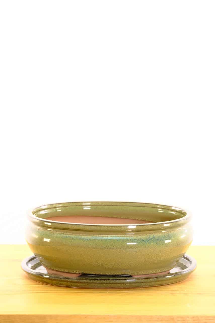 Ceramic pot, perfect for indoor gardening