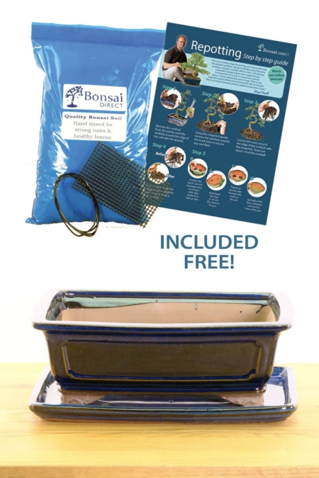 Wonderful royal blue bonsai pot with wiring kit included