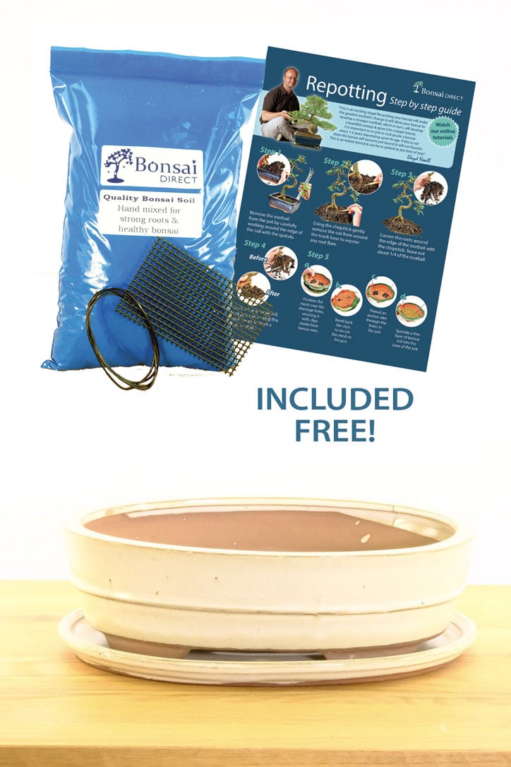 Ceramic bonsai pot with free wiring kit, free working day delivery UK