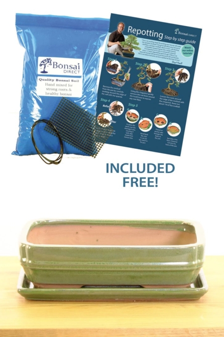 Olive green ceramic bonsai pot, free working day delivery