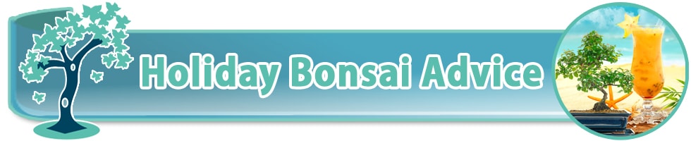 What should I do with my bonsai when I go on holiday??