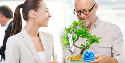 Retirement bonsai gifts