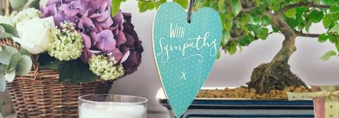 With sympathy bonsai tree gifts