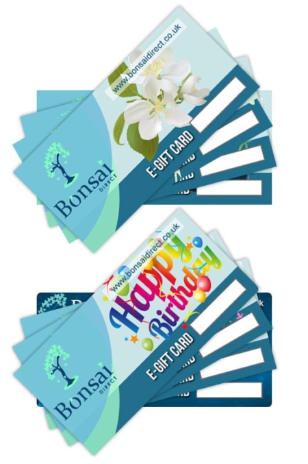 Gift Vouchers | E-Vouchers