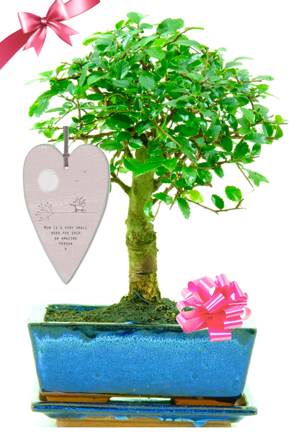 Mum is such a small word for such an amazing person